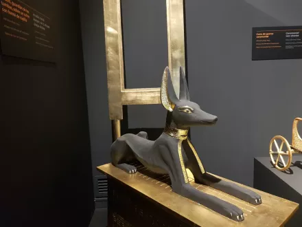 imgi_26_25