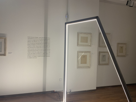 imgi_11_IMG_9235-scaled