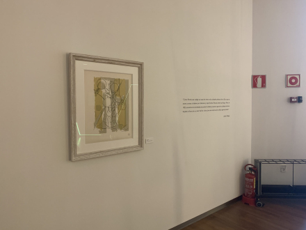 imgi_2_IMG_9233-scaled