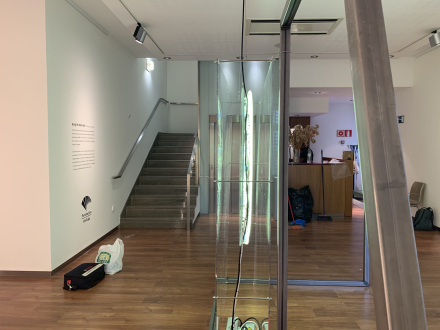 imgi_7_IMG_9242-scaled