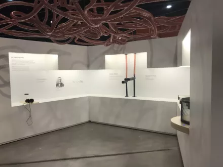 imgi_16_IMG_5723-scaled