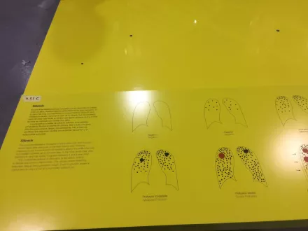 imgi_60_IMG_1114-scaled